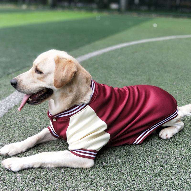 犬服 スポーティ大型犬用ジャージ