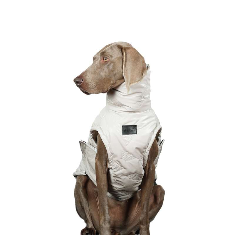 犬服 大型犬用スタイリッシュベスト