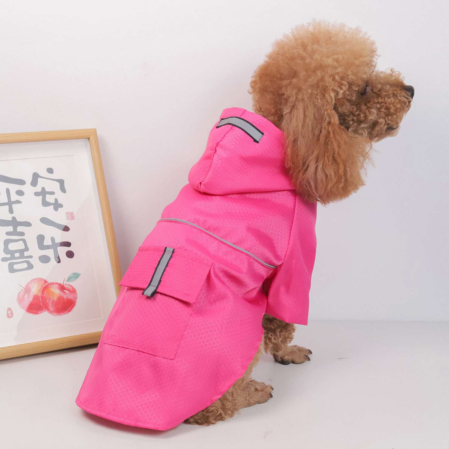 犬服 ファッショナブル小型犬用レインコート