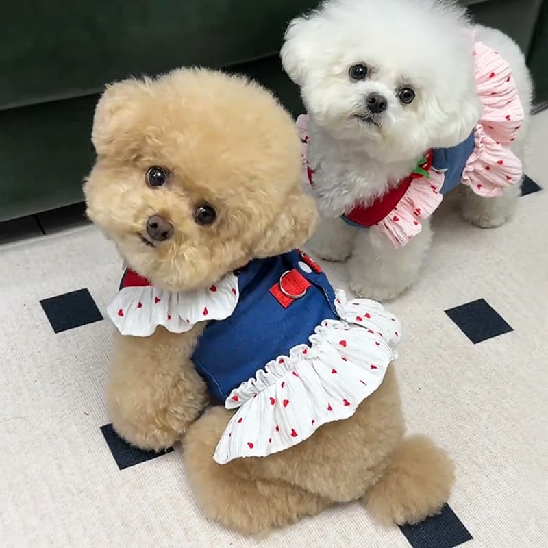 犬服 フリル襟お嬢様ワンピース