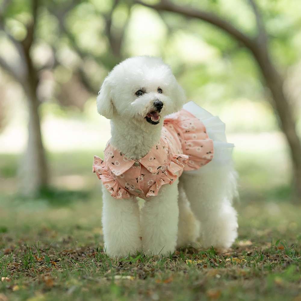 犬服 ふんわり花柄ワンピース 愛犬用