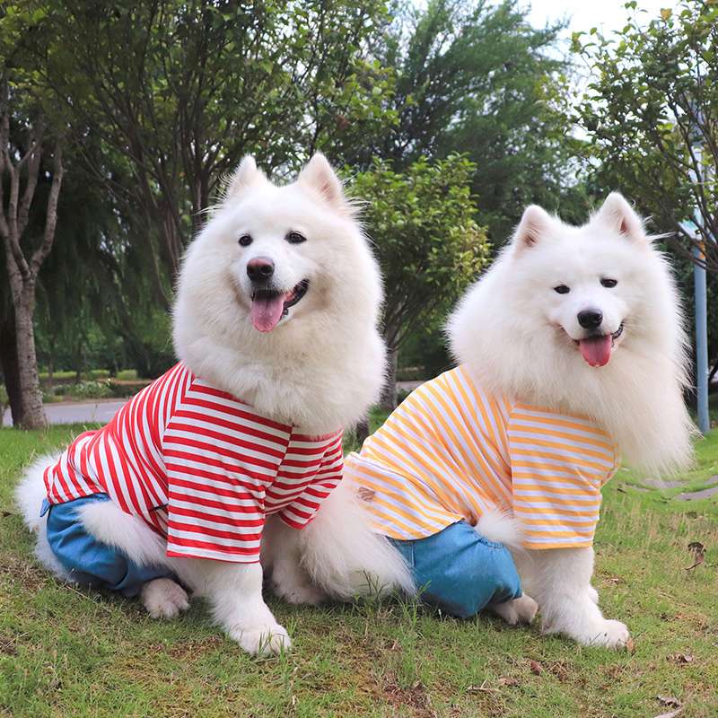 犬服 もこもこ大型犬用ボーダーつなぎ