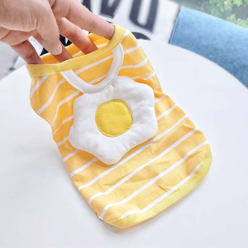 目玉焼き柄のボーダー犬服