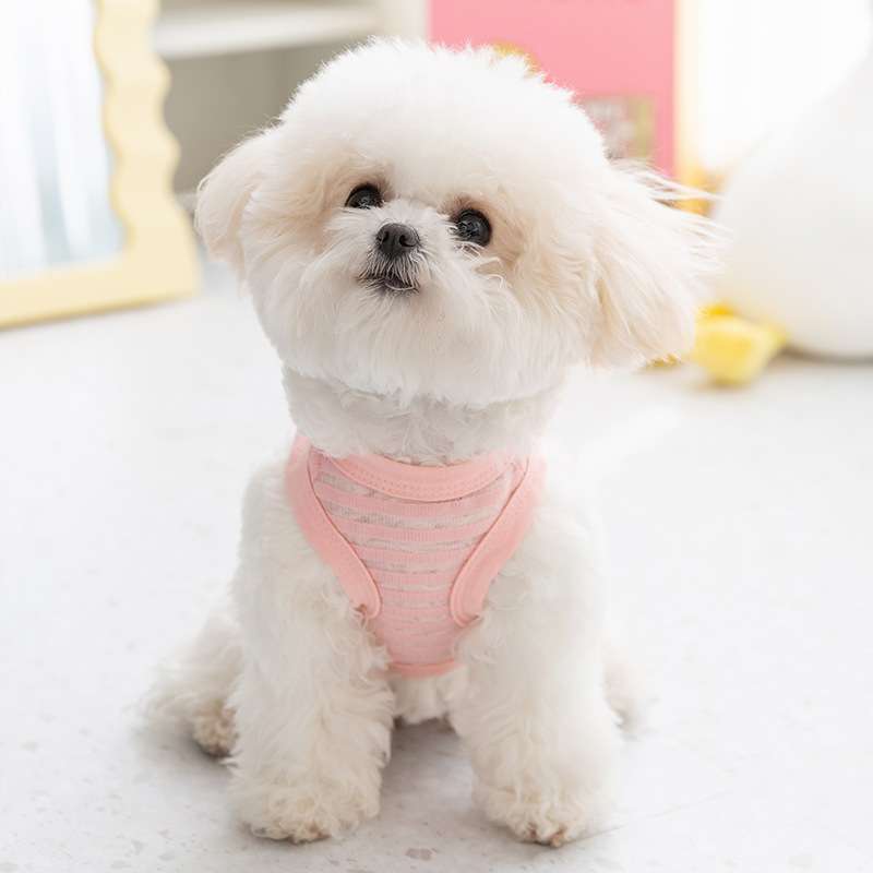 犬服 小型犬用メッシュベスト