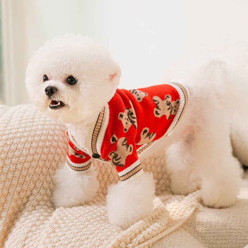 犬服 くまさん刺繍入りカーディガン風ボタン付きニット