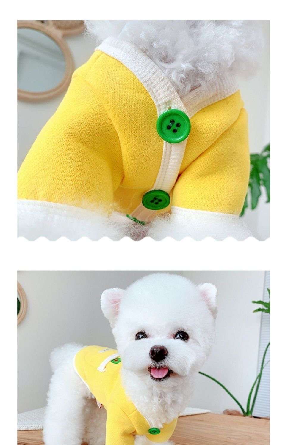 犬服 もぐもぐフルーツポケット付き犬用トレーナー