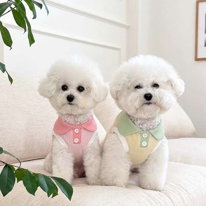 犬服 襟付き小型犬用タンクトップ