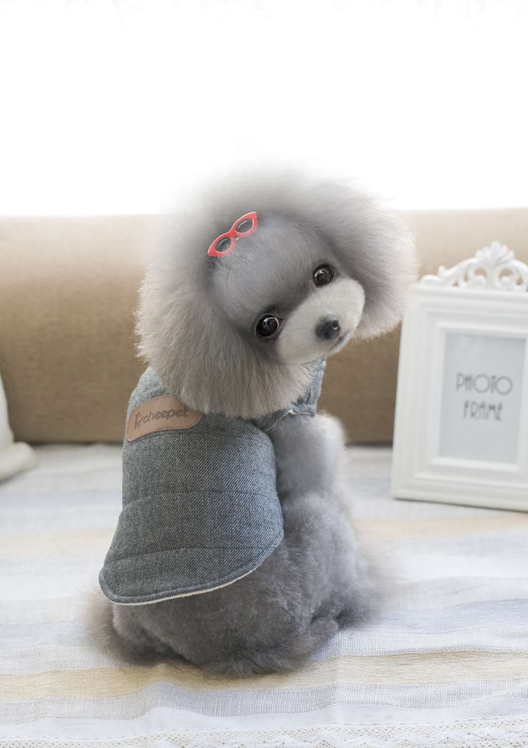 犬服 もこもこワンちゃん用デニムベスト