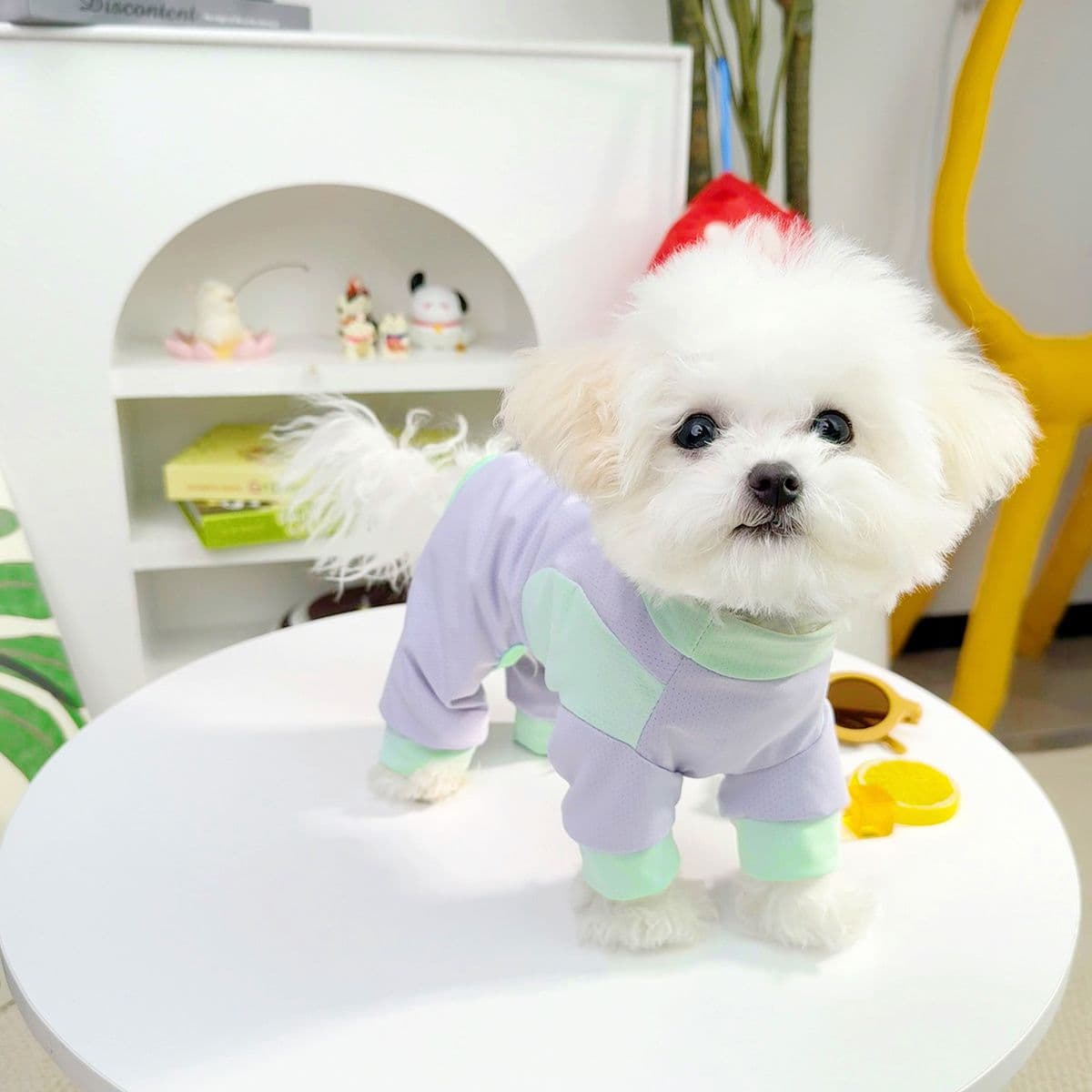 犬服 ひんやりパステルつなぎ