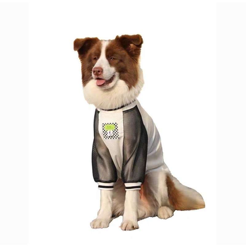 犬服 スポーティーメッシュTシャツ