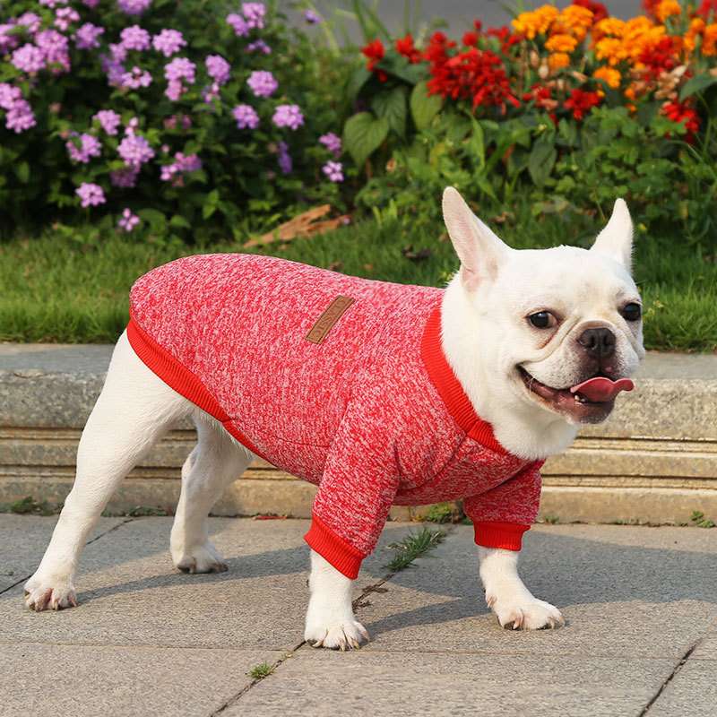 犬服 フレンチブルドッグ用おしゃれニットウェア