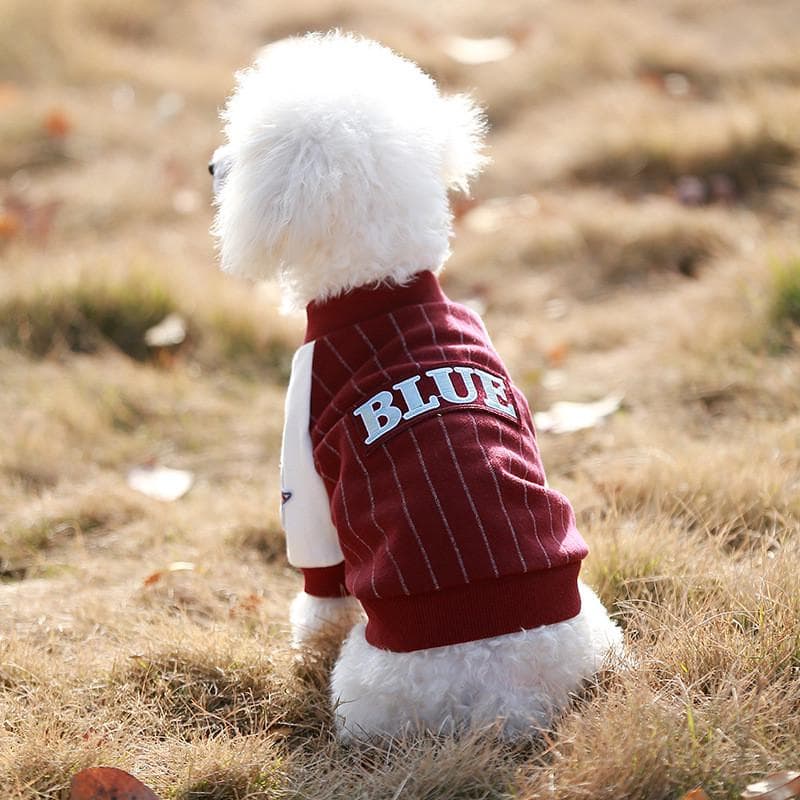 犬服 スポーティストライプトレーナー