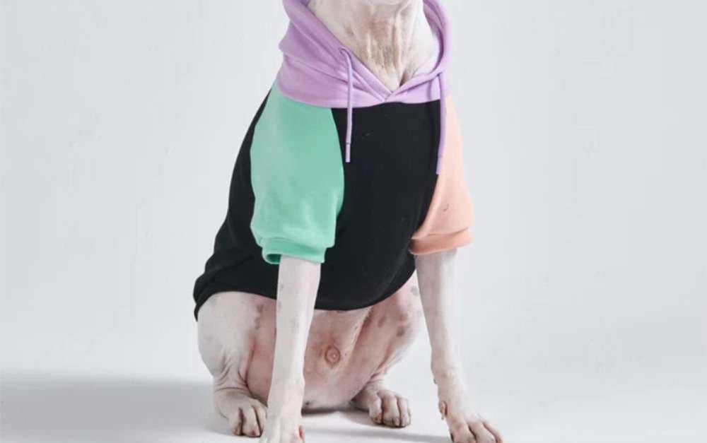 犬服 大型犬用カラフルパーカー