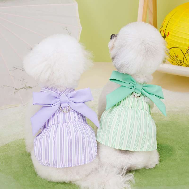 犬服 ふんわりリボン付きワンピース