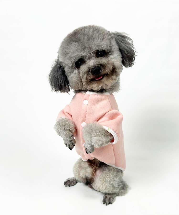 犬服 ふわもこ素材のシンプル犬用ボタン留めシャツ