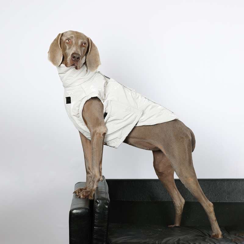 犬服 大型犬用スタイリッシュベスト