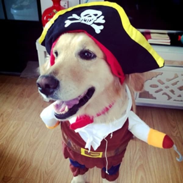 犬服 海賊船長なりきり変身つなぎ帽子付き