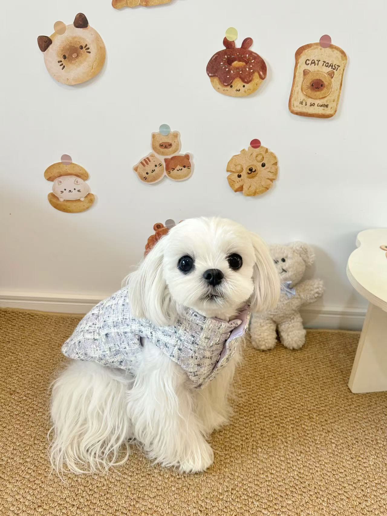 犬服 ふわもこ軽量ベスト風コート