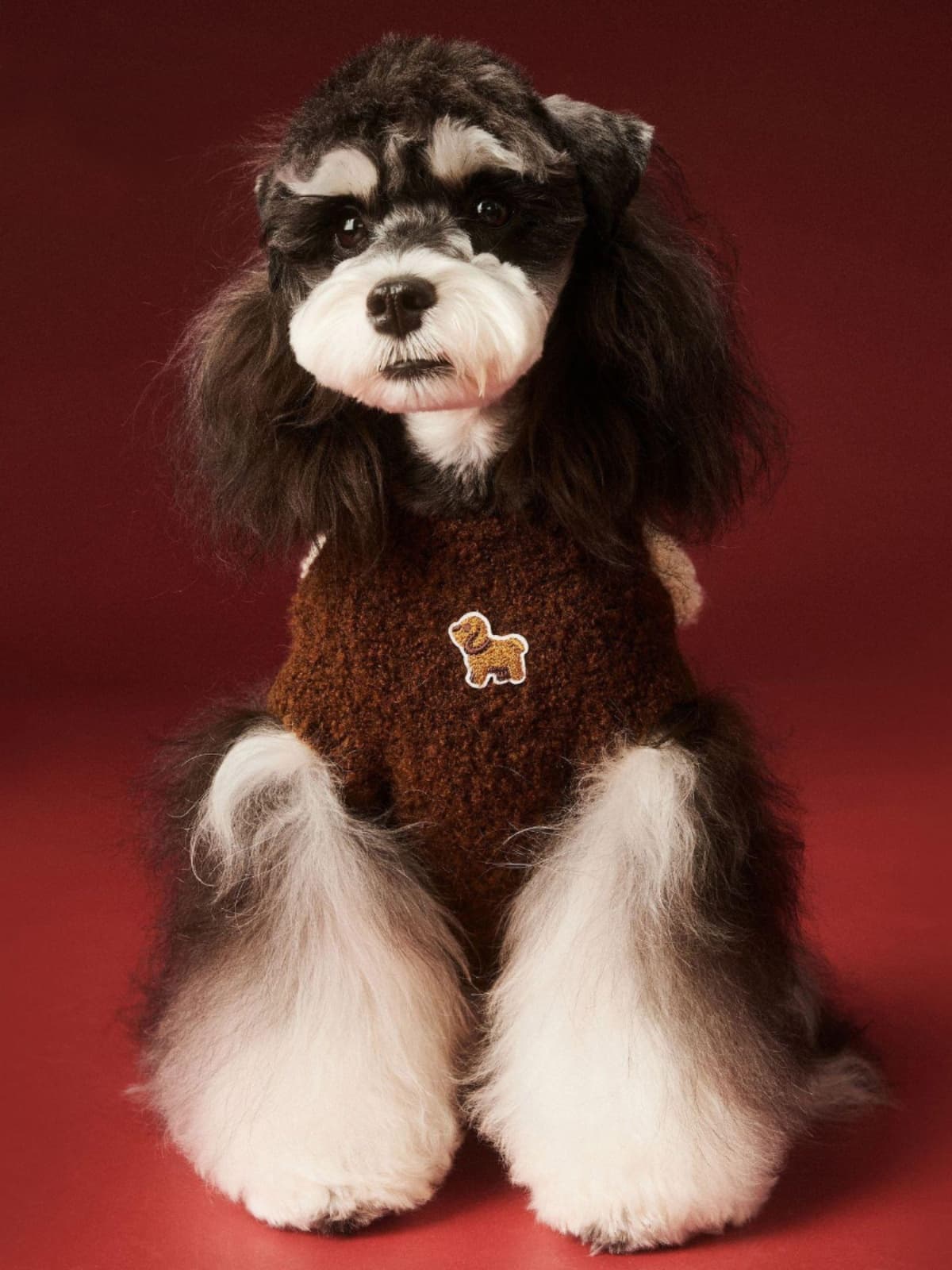 犬服 わんちゃんモチーフニット