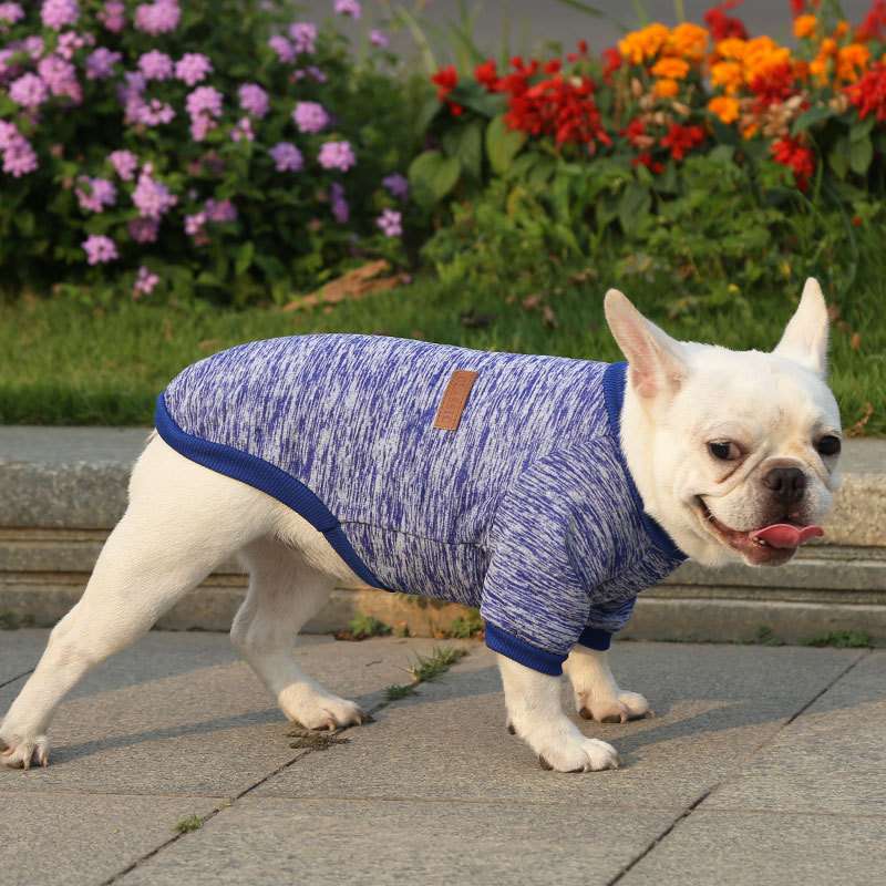 犬服 フレンチブルドッグ用おしゃれニットウェア