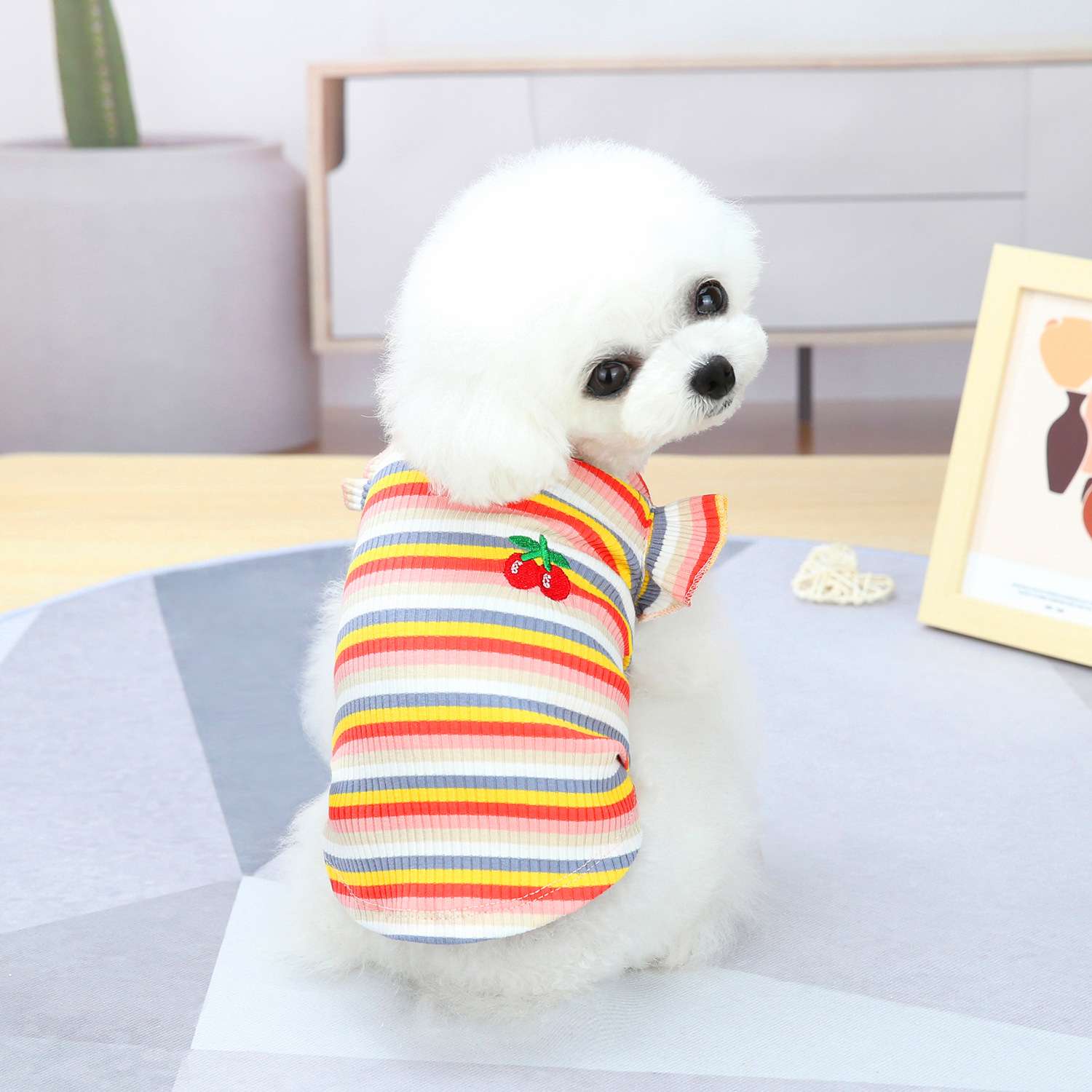 犬服 ふんわり小型犬〜大型犬用フリルワンピース
