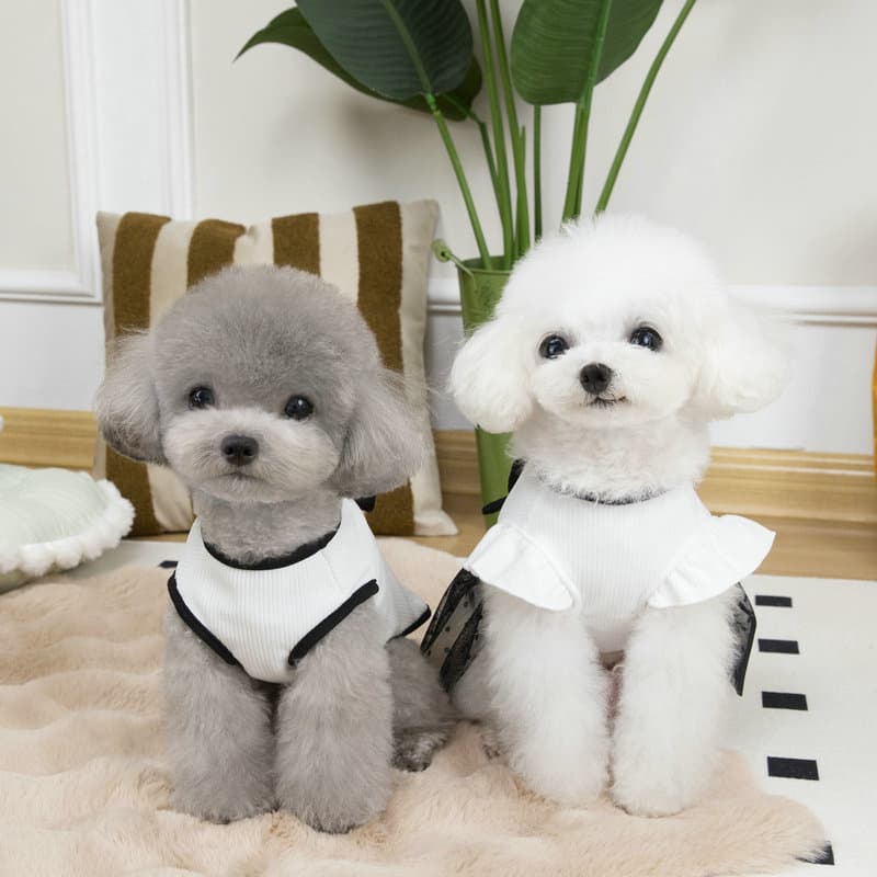春夏新作 上品リボンワンピース 犬服 小型犬用フォーマルウェア