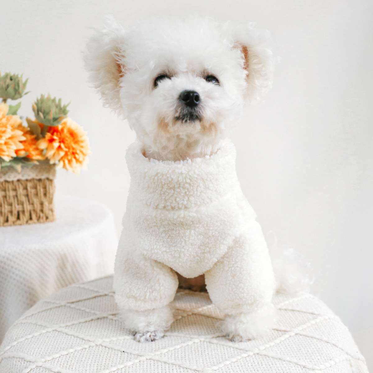 犬服 もこもこあったかジップアップパーカー