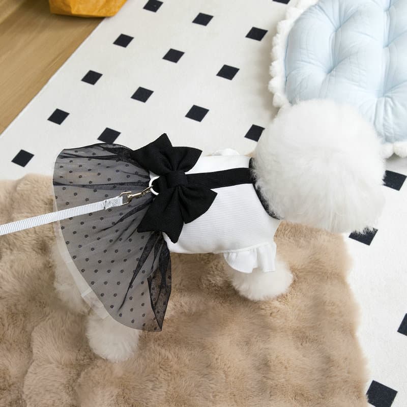 春夏新作 上品リボンワンピース 犬服 小型犬用フォーマルウェア