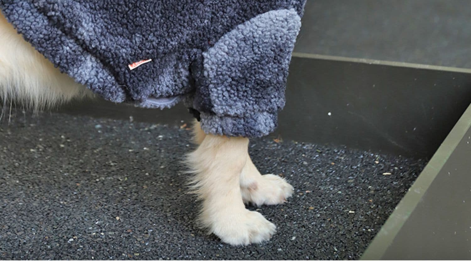 犬服 ストリート荷物タグパーカー