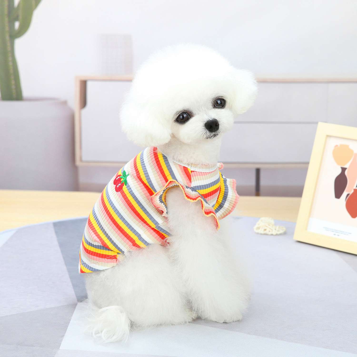 犬服 ふんわり小型犬〜大型犬用フリルワンピース