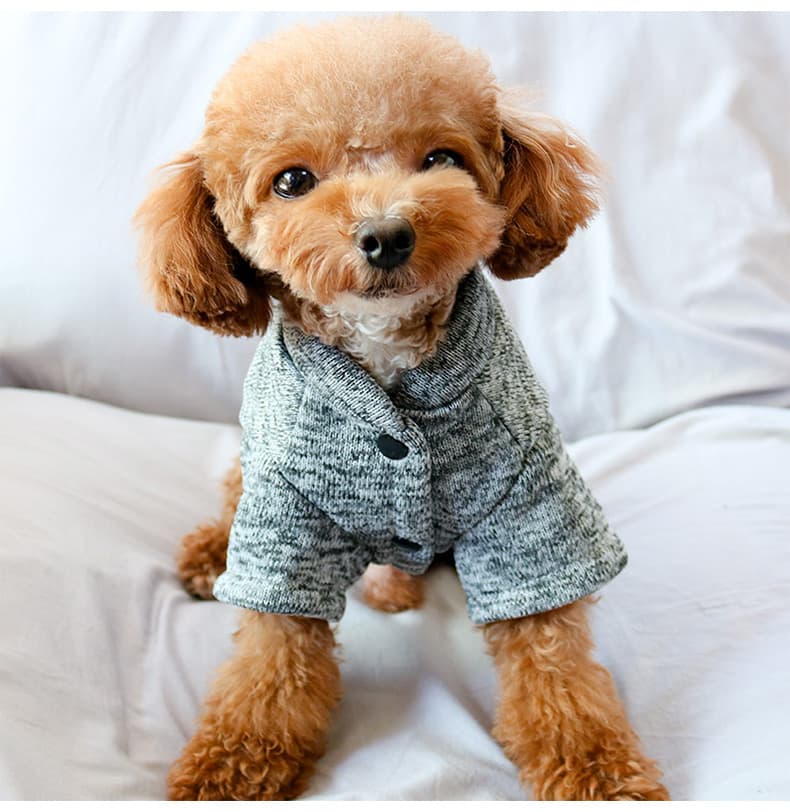 犬服 おさかなモチーフの暖かコート