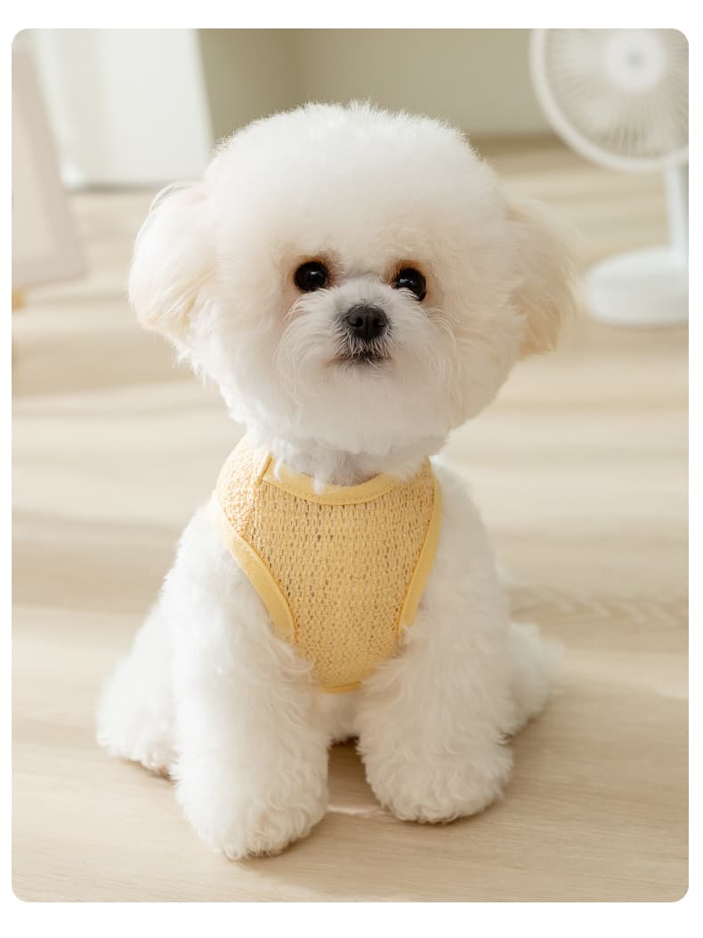 犬服 さわやか通気メッシュベスト