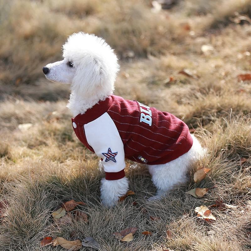 犬服 スポーティストライプトレーナー