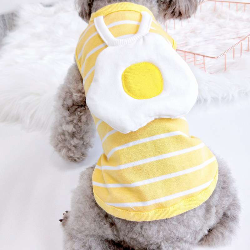 目玉焼き柄のボーダー犬服