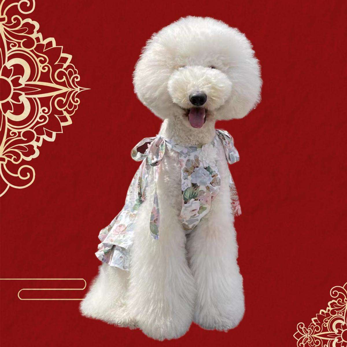 華やか花柄ワンピース犬服