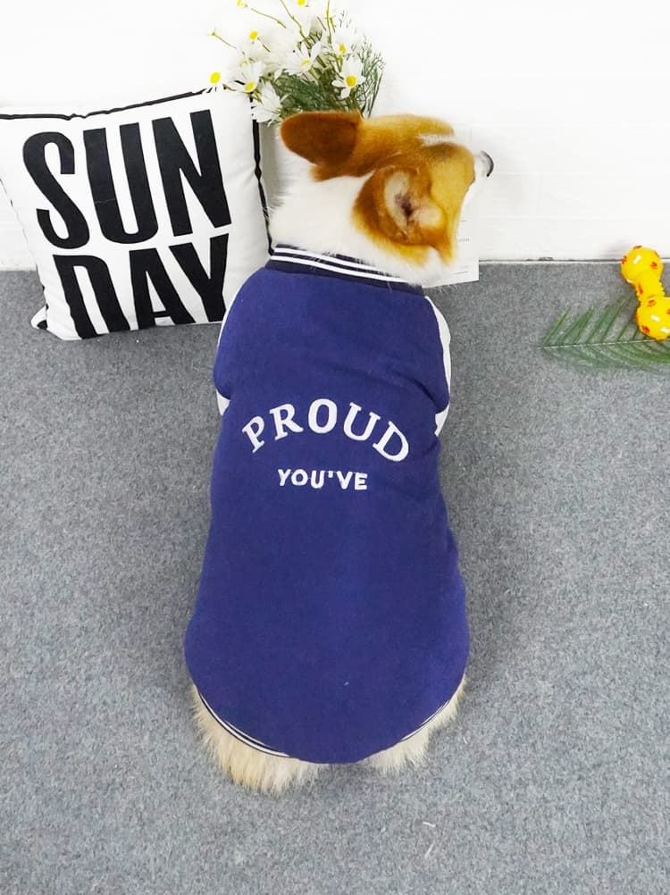 犬服 誇り高き仲間トレーナー