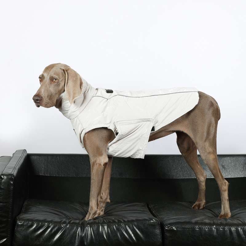 犬服 大型犬用スタイリッシュベスト