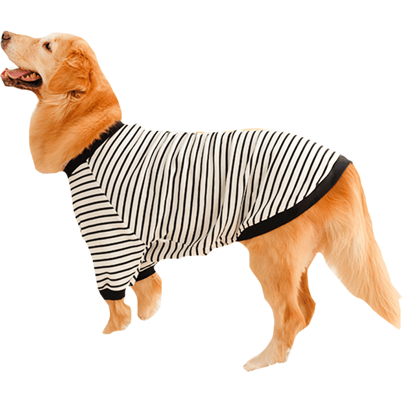 犬服 ボーダー柄わんちゃんTシャツ