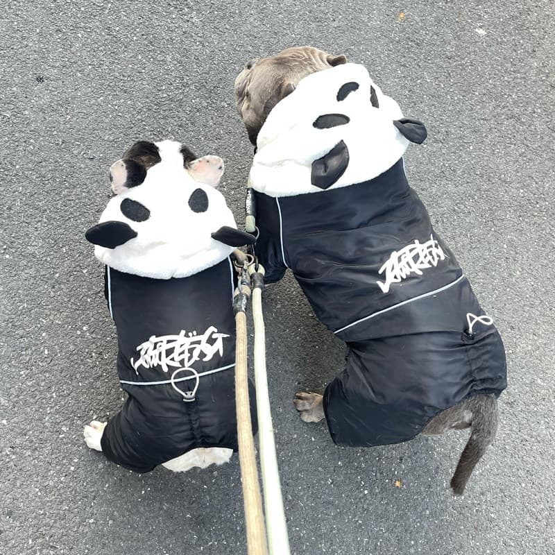 犬服 もこもこパンダ耳付き裏ボア中綿入りつなぎアウター