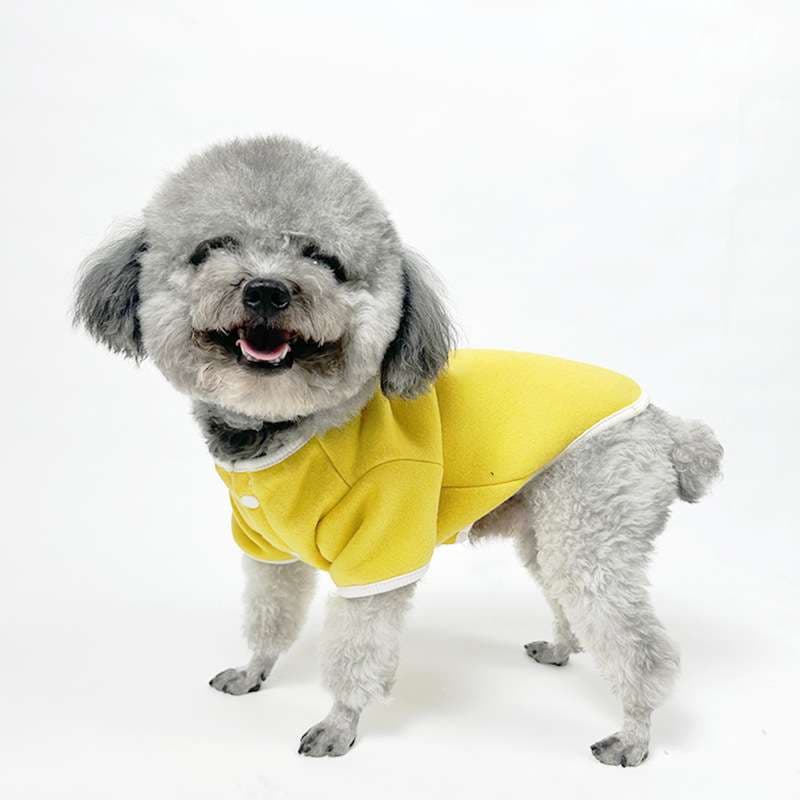 犬服 ふわもこ素材のシンプル犬用ボタン留めシャツ