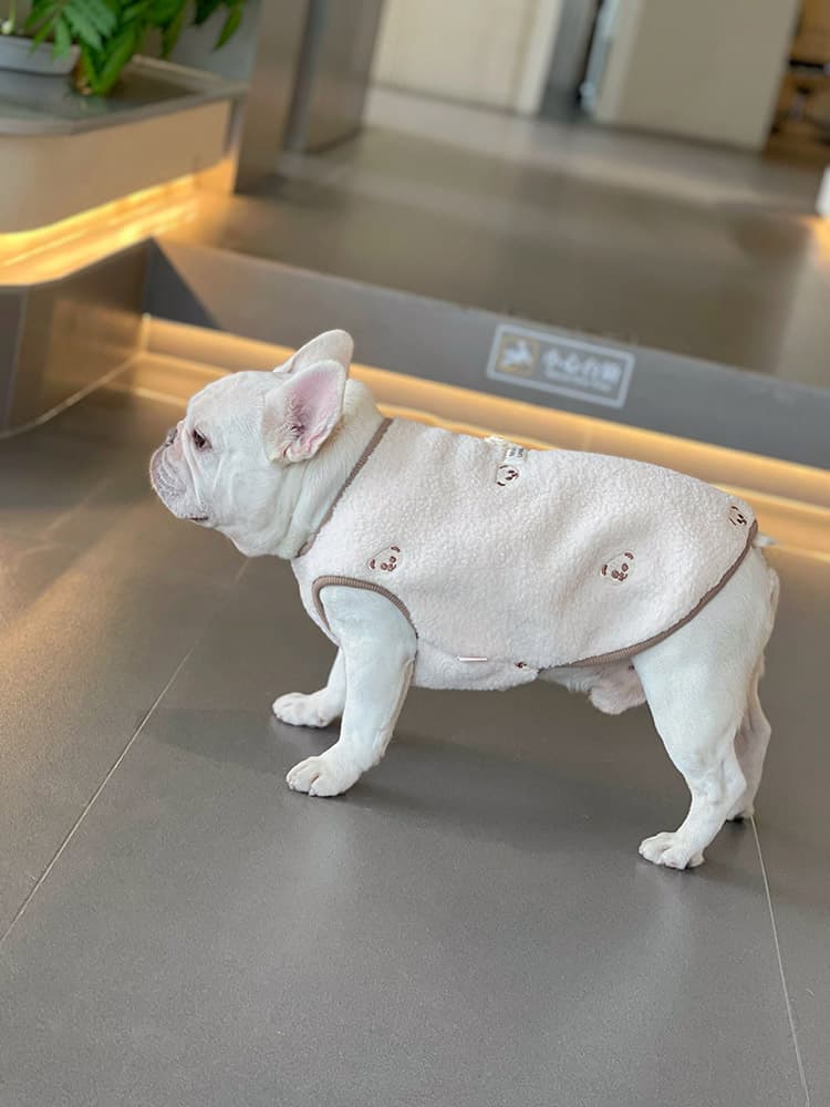 犬服 もこもこボーダー切替ニット