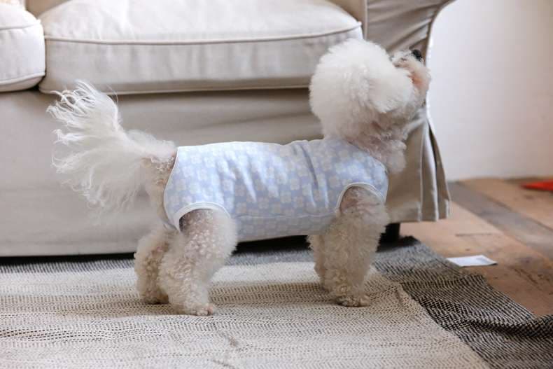 犬服 ワンちゃん用花柄ベスト