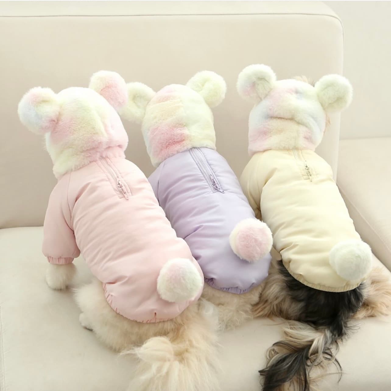 犬服 ふわもこくまさんダウンジャケット