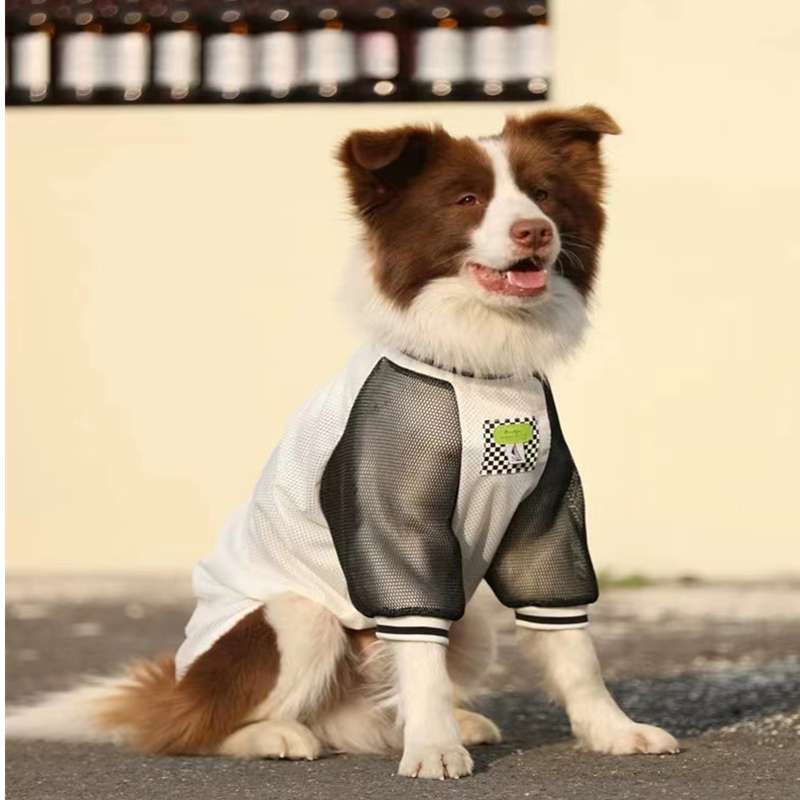 犬服 スポーティーメッシュTシャツ
