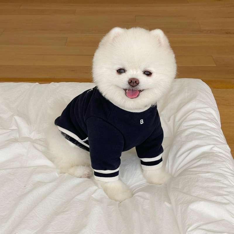 犬服 ワンちゃん用スポーティーセーター