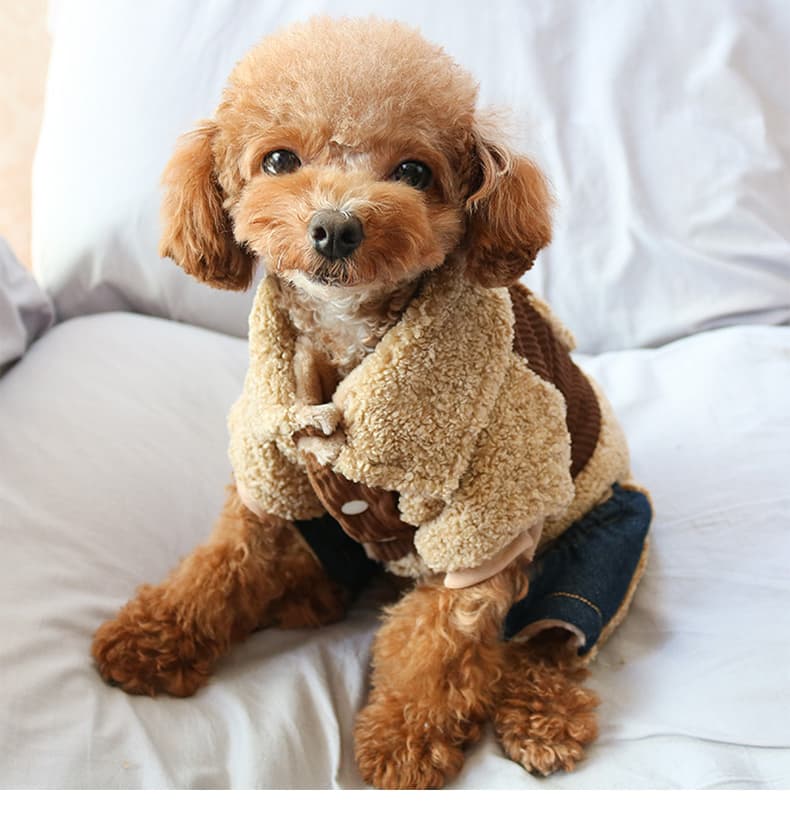 もこもこボア切替リブ編みポケット付き犬服