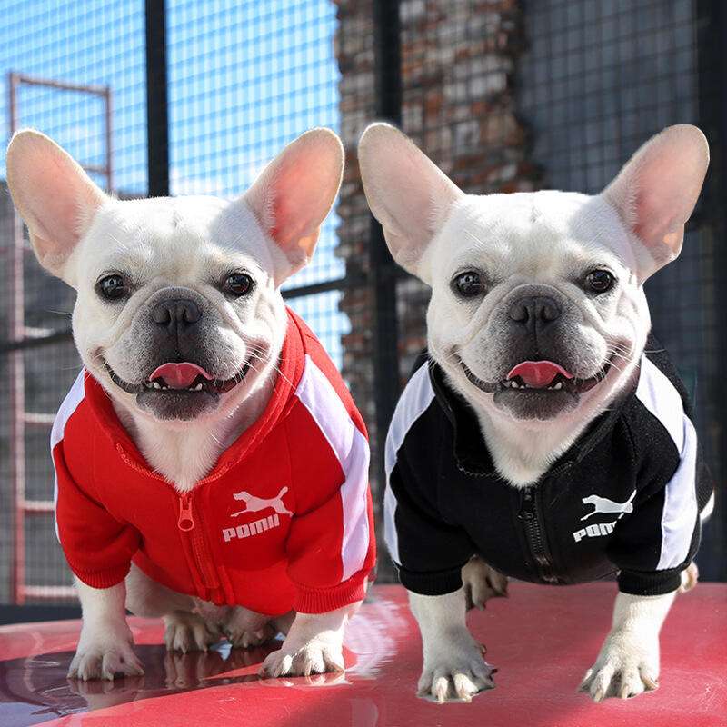 犬服 スポーティー犬用ジャンパー