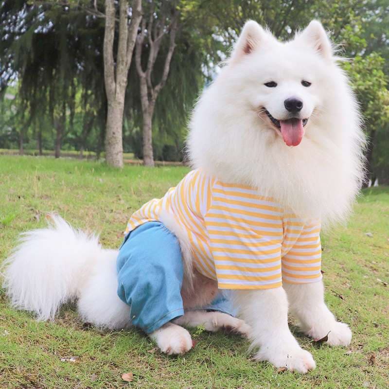 犬服 もこもこ大型犬用ボーダーつなぎ