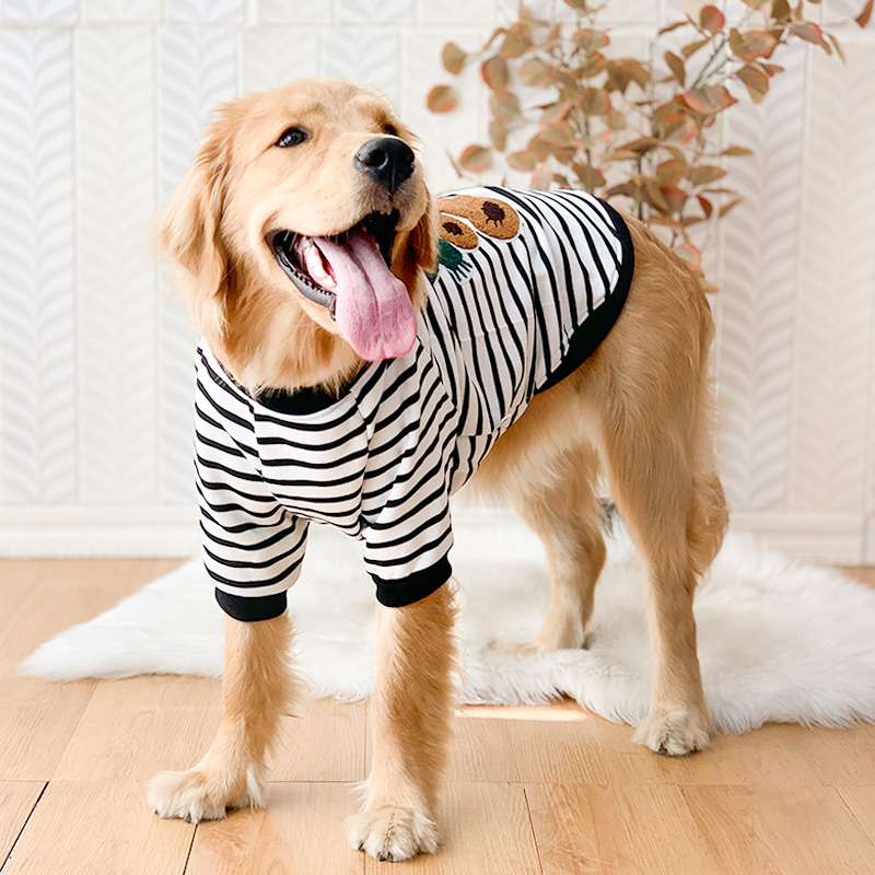 犬服 ボーダー柄わんちゃんTシャツ