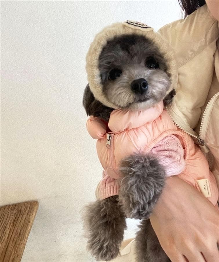 犬服 ふわもこダウンベスト